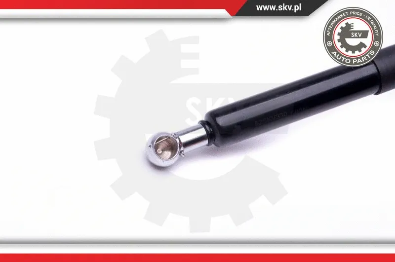 Gas Spring, boot/cargo area