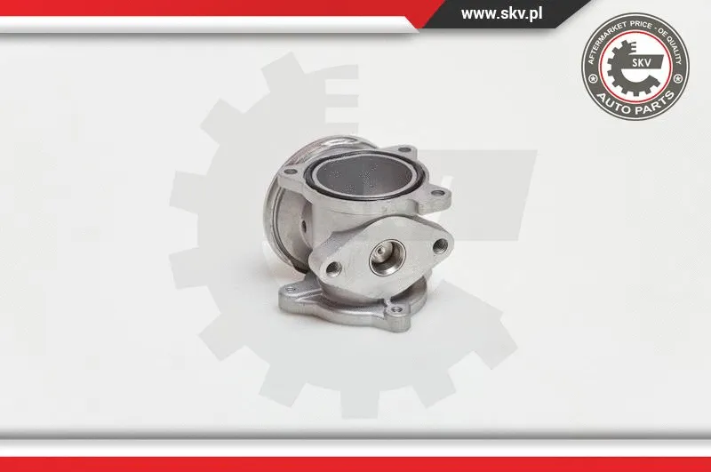 EGR Valve