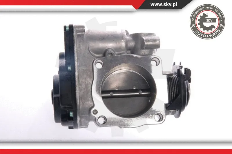 Throttle Body