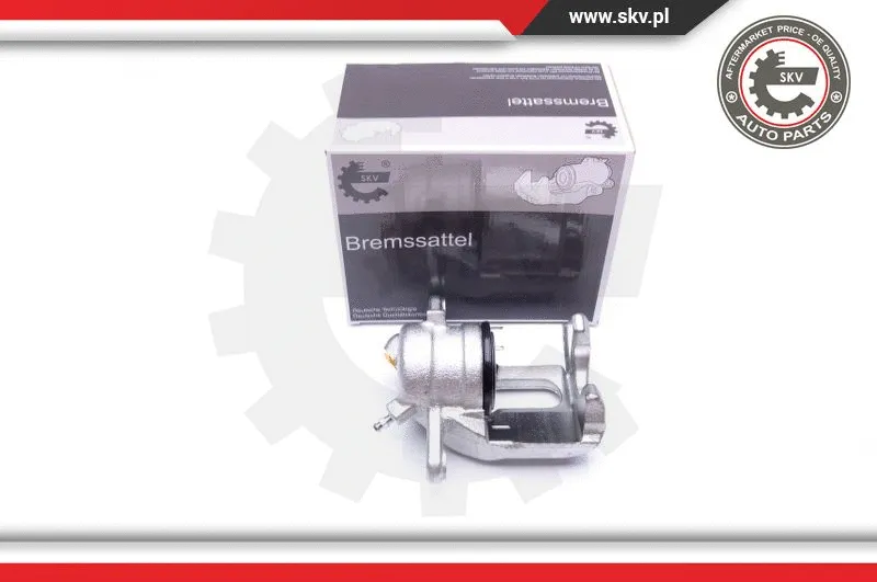 Brake Caliper (42SKV301)