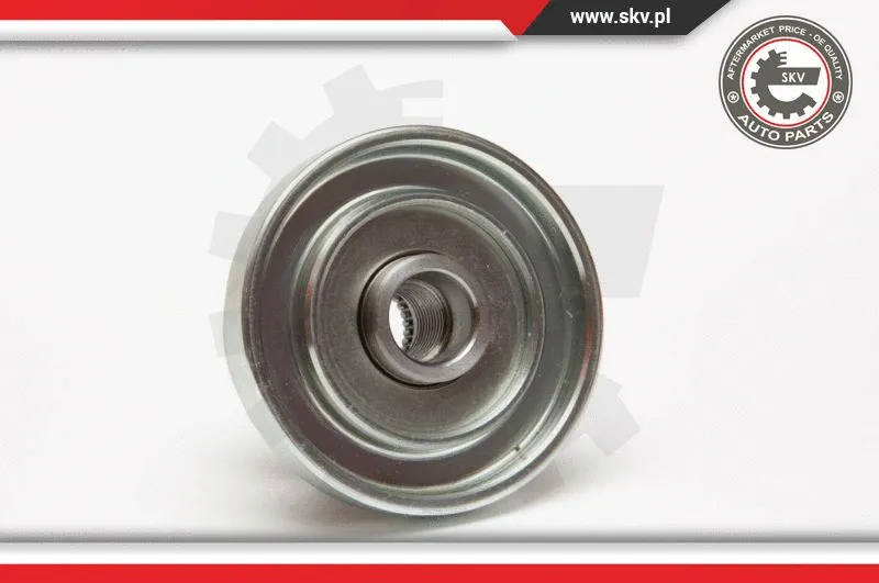 Alternator Freewheel Clutch