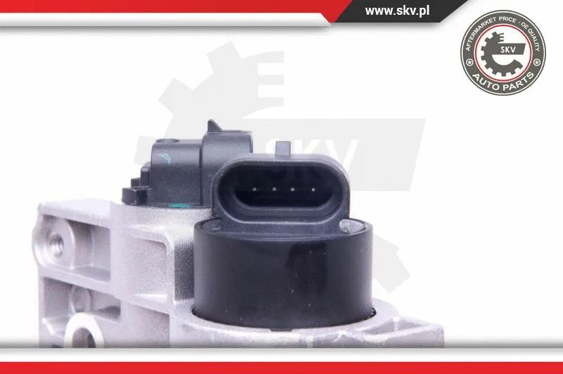 Throttle Body