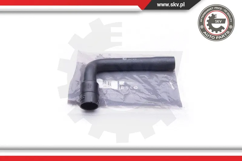 Radiator Hose (24SKV391)