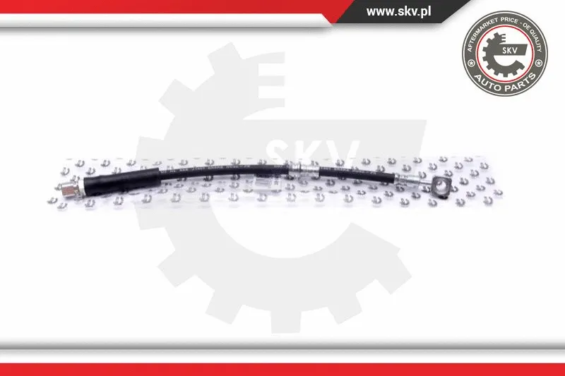 Brake Hose (35SKV161)