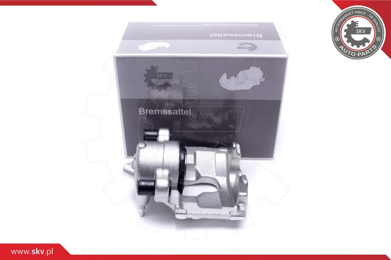 Brake Caliper (56SKV071)