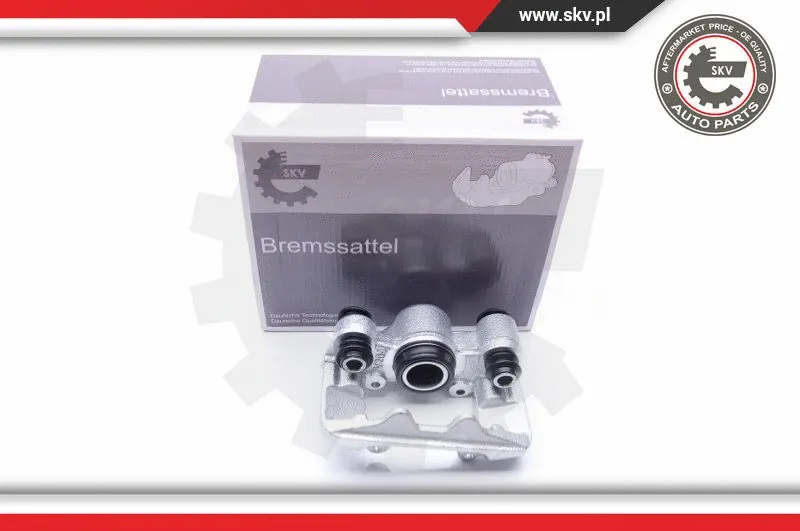 Brake Caliper (23SKV424)