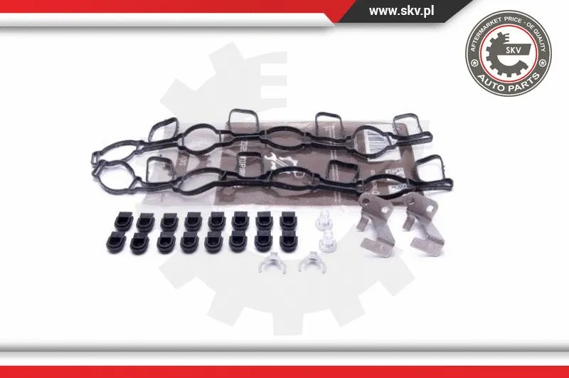 Repair Kit, intake manifold module (49SKV517)