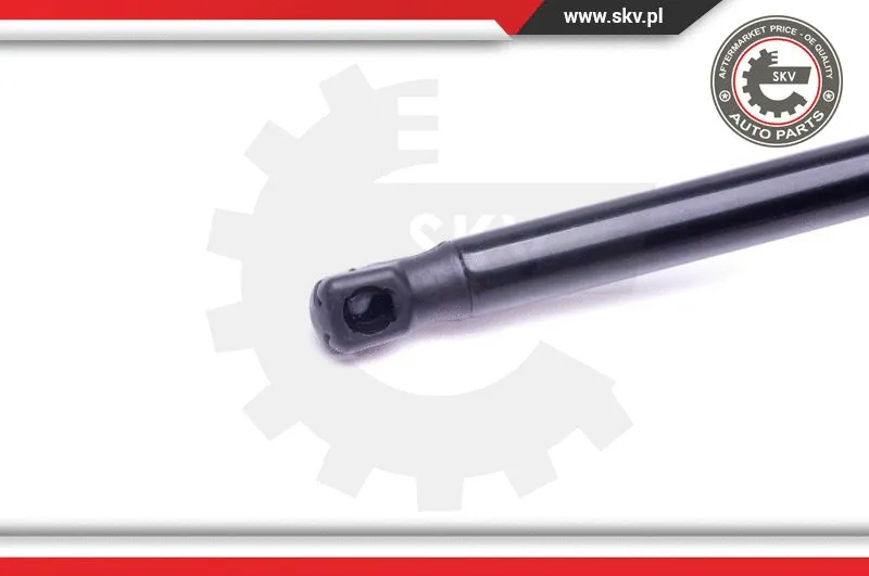 Gas Spring, boot/cargo area