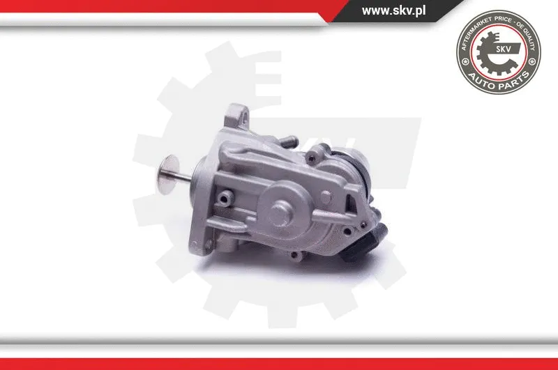EGR Valve