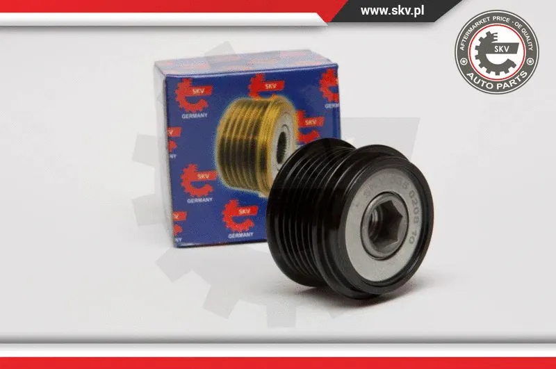 Alternator Freewheel Clutch (11SKV061)