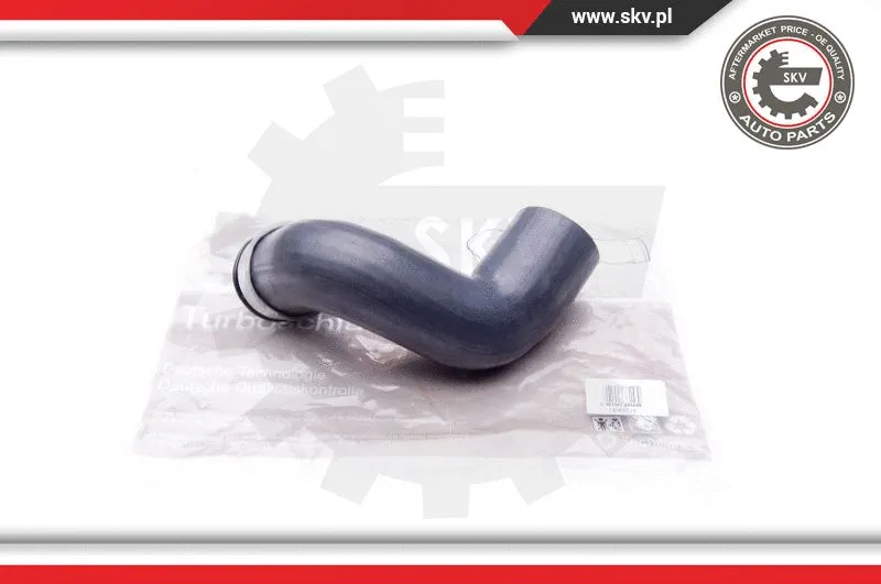 Charge Air Hose (24SKV718)