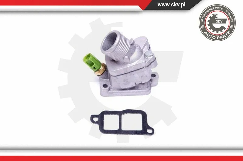 Thermostat, coolant