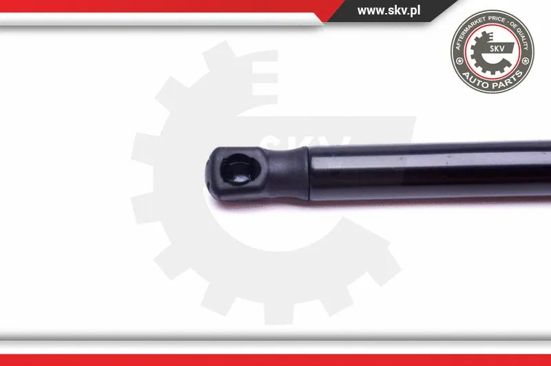 Gas Spring, bonnet