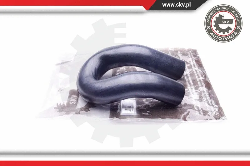 Charge Air Hose (43SKV077)