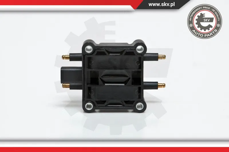 Ignition Coil (03SKV078)