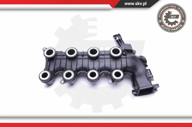 Intake Manifold Module