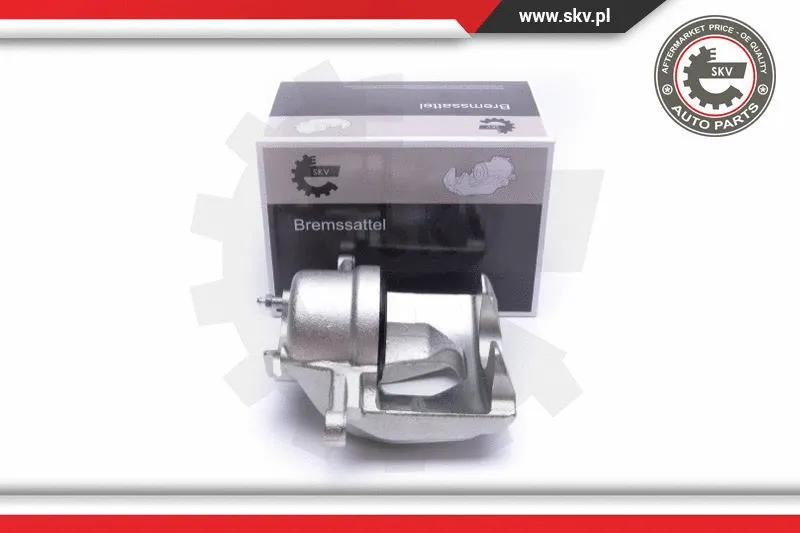 Brake Caliper (50SKV131)