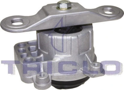 Mounting, engine (368738)