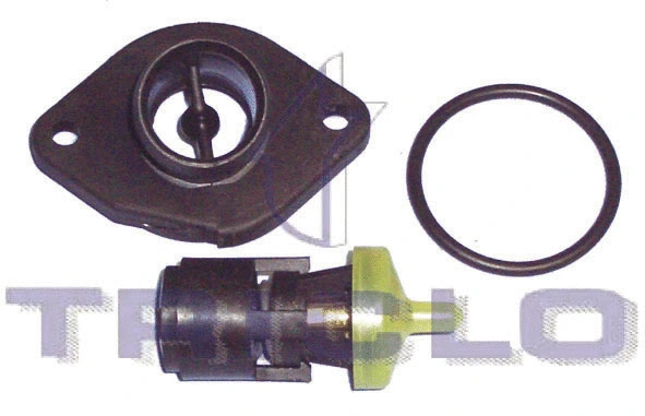 Thermostat, coolant (463826)