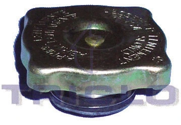 Cap, radiator (314338)