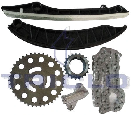Timing Chain Kit (425820)