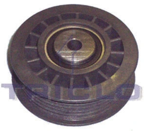 Tensioner Pulley, V-ribbed belt (423857)