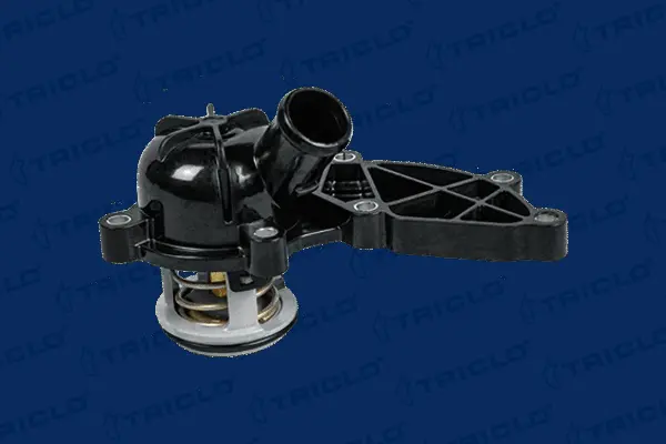 Thermostat, coolant (463394)