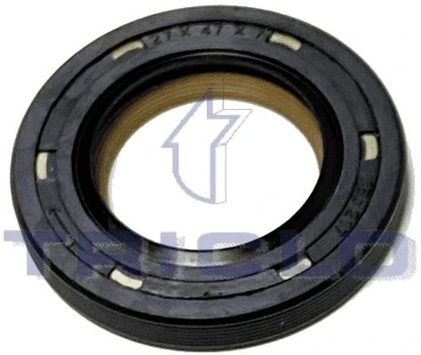 Shaft Seal, camshaft (671911)