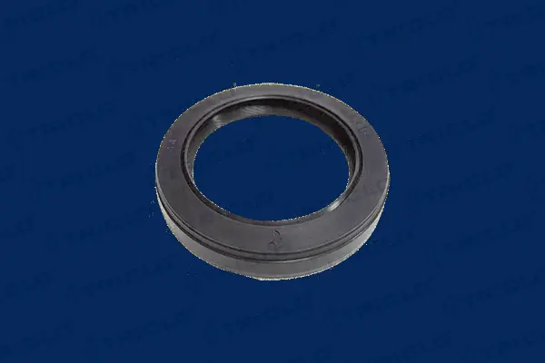 Shaft Seal, manual transmission (672888)