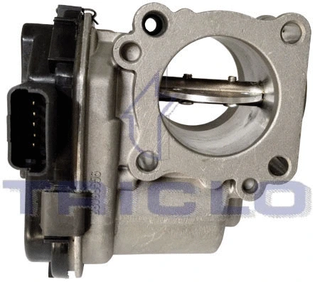 Throttle Body (380311)