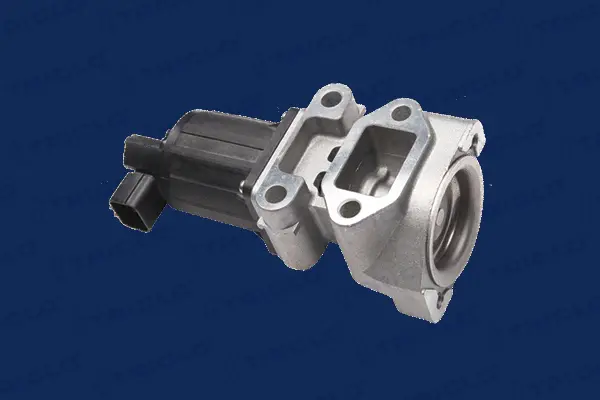 EGR Valve (347463)