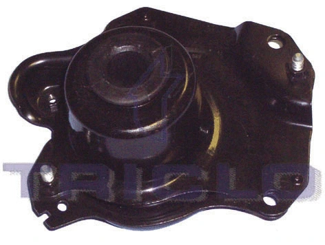 Mounting, engine (363916)