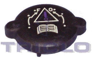 Cap, coolant tank (311320)