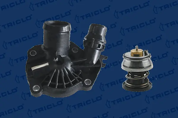 Thermostat, coolant (462518)