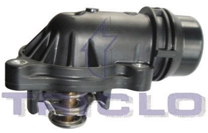 Thermostat, coolant (463246)
