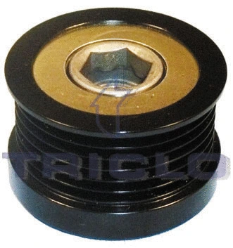 Alternator Freewheel Clutch (428846)