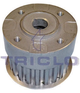 Deflection/Guide Pulley, timing belt (421713)