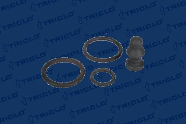 Repair Kit, unit injector (322661)