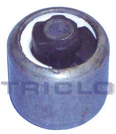 Bushing, axle beam (788590)