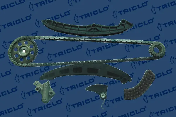 Timing Chain Kit (422160)