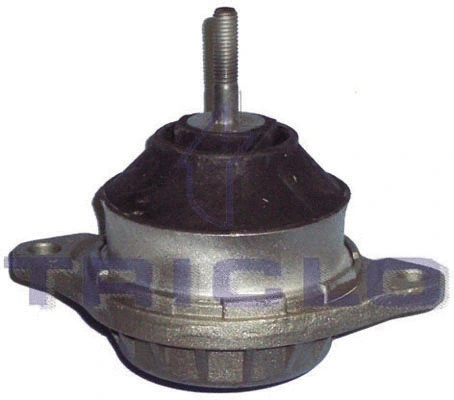 Mounting, engine (363902)