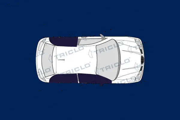 Switch, window regulator (142218)