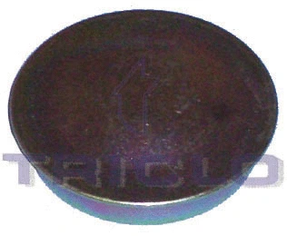 Protection Lid, wheel hub (328706)