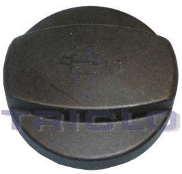 Sealing Cap, oil filler neck (313197)