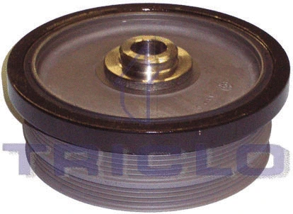 Belt Pulley, crankshaft (423293)