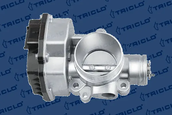 Throttle Body (380461)
