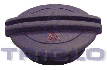 Cap, coolant tank (313326)