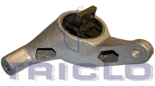 Mounting, engine (368632)