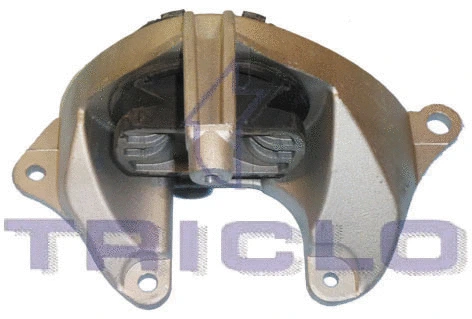 Mounting, engine (364479)