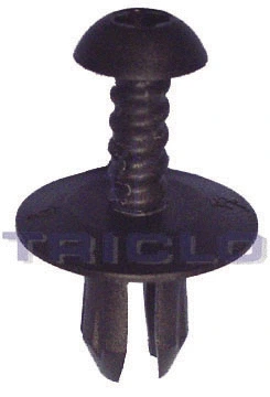 Clip, trim/protection strip (163640)